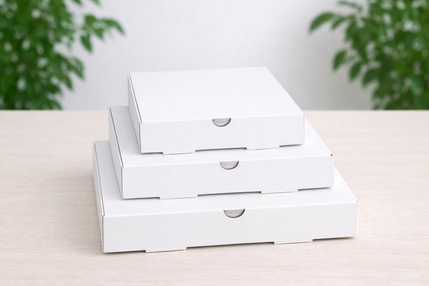 Caja Pizza Mediana (M) - Imagen 2