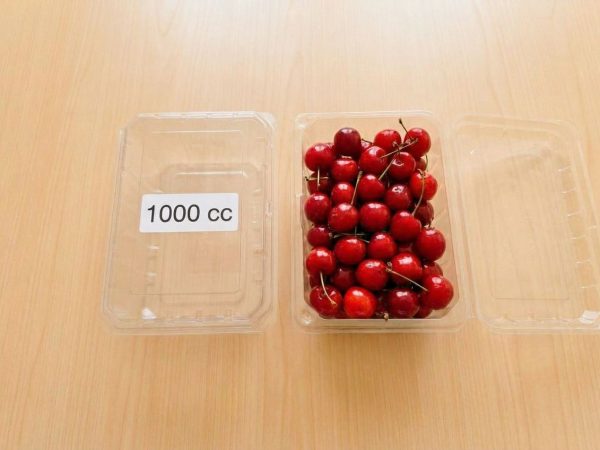 Envase Plástico Multiuso 1.000 cc